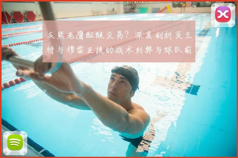灰熊老鹰酝酿交易？深度剖析莫兰特与穆雷互换的战术利弊与球队前景