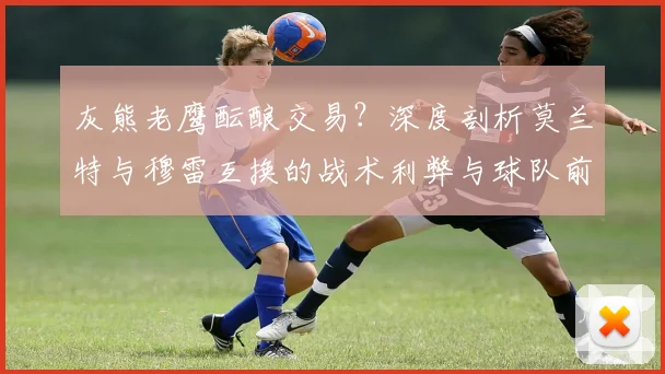 灰熊老鹰酝酿交易？深度剖析莫兰特与穆雷互换的战术利弊与球队前景